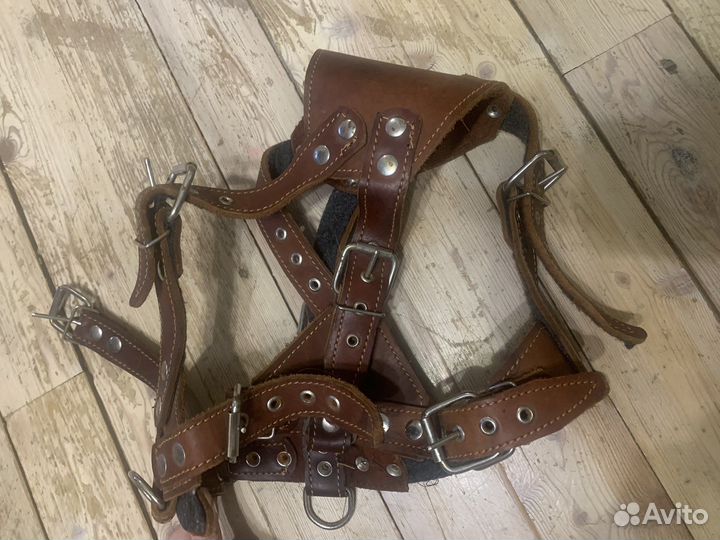 Кожанная шлейка для собак