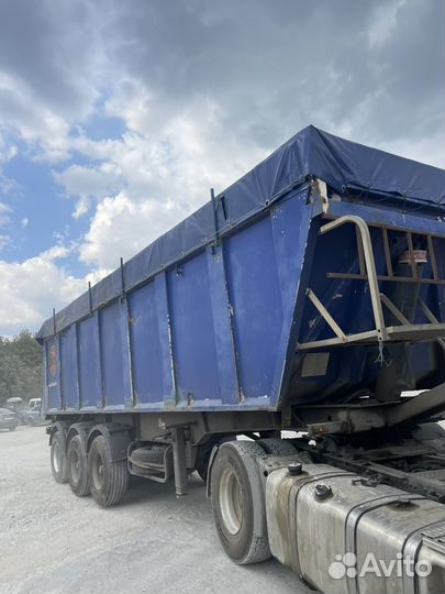 Полуприцеп самосвальный Panav NS 1 36, 2013