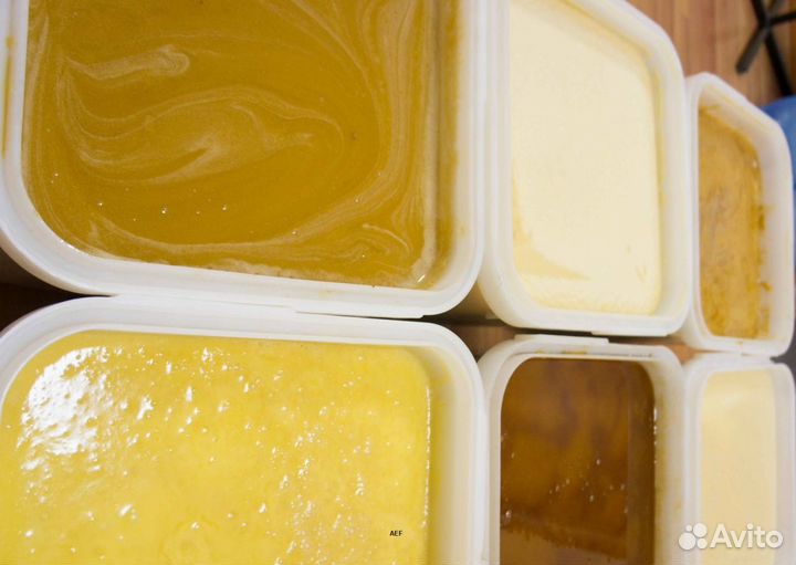 2024 Мёд натуральный из Алтая опт