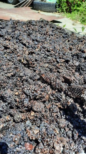 Мерва (качество 100)