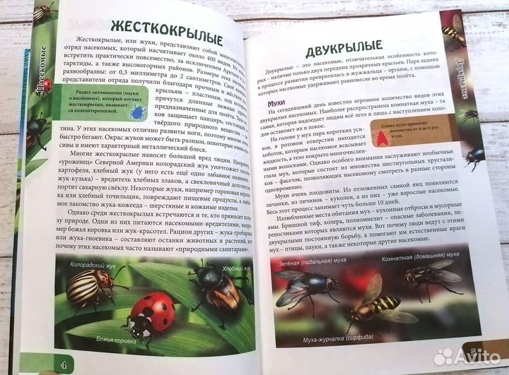 Детская энциклопедия Удивительный мир насекомыx