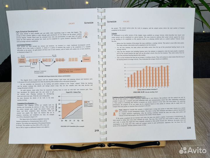 Rita Mulcahy PMP Exam Prep. 11 издание