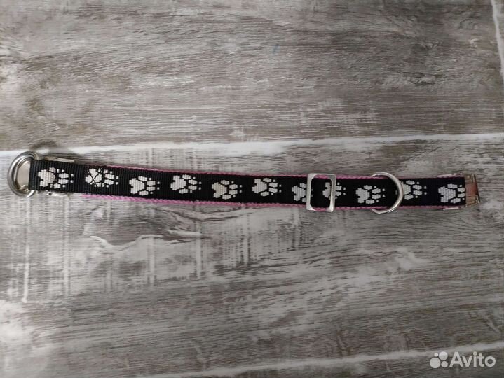 Ошейник + поводок