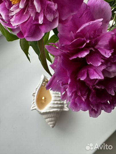 Свеча в виде ракушки массивная