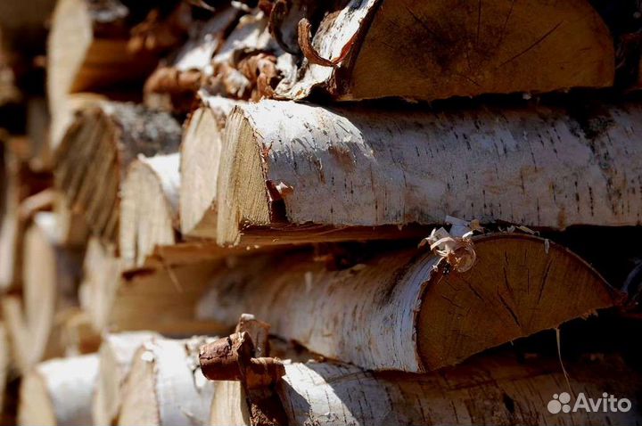 Дрова березовые