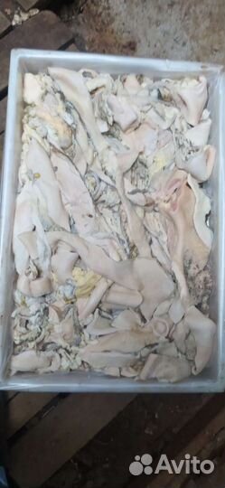 Мясо говядина для собак