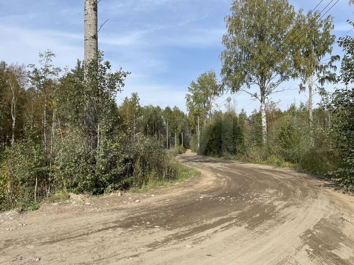 Участок 10 сот. (СНТ, ДНП)