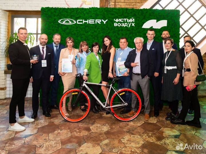 Стабилизированный мох