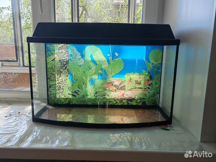 Аквариум
