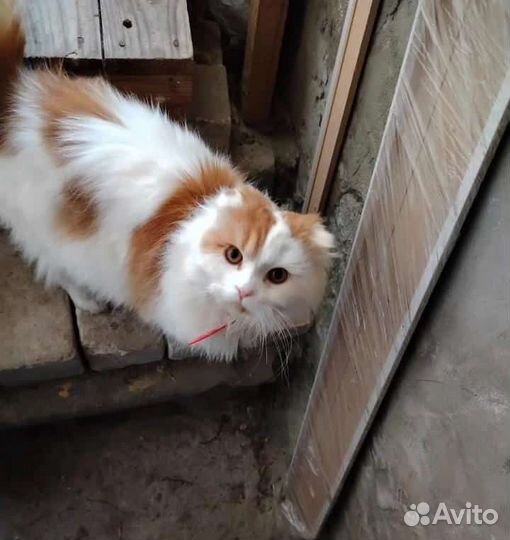 Помогите спасти