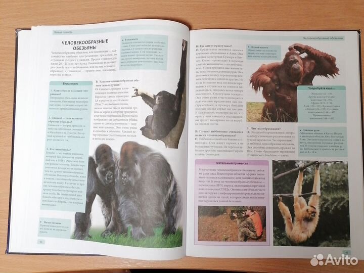 Большая иллюстрированная энциклопедия знаний