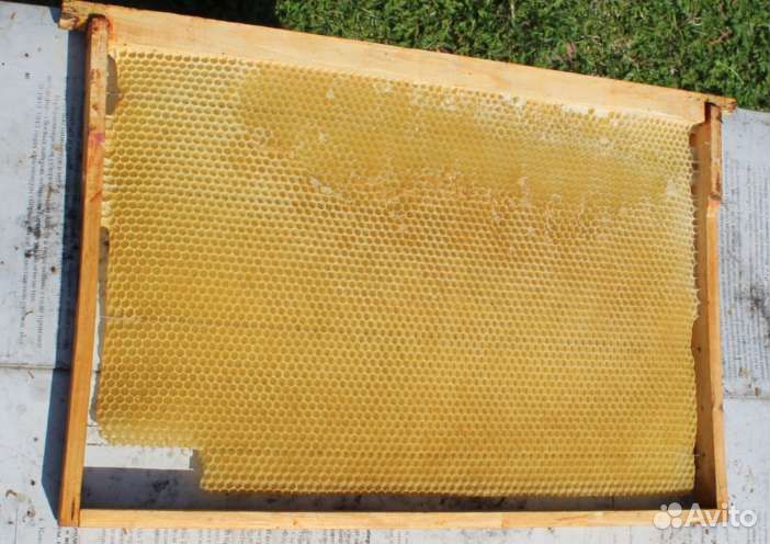 Рамка Дадан, рут., с вощиной. Из сосны