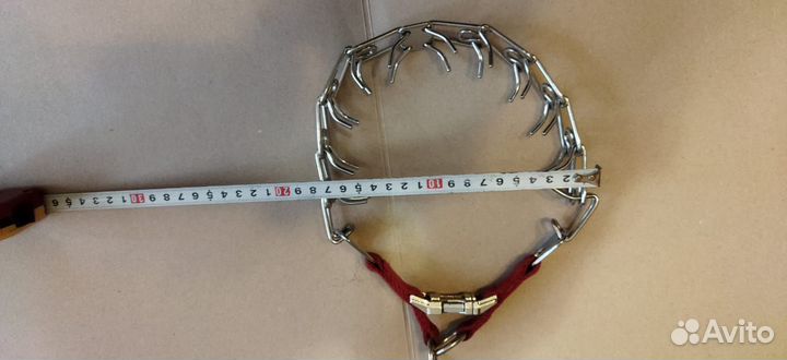 Строгий ошейник для собак