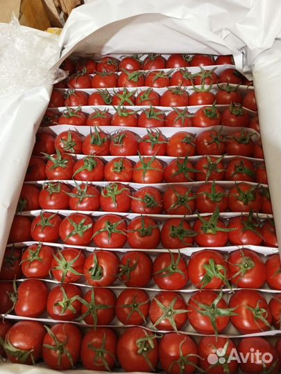 Доставка мяса, овощей, бакалеи