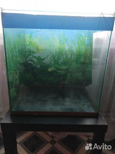 Аквариум