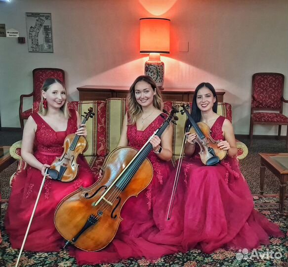 Скрипачка, музыкант на праздник