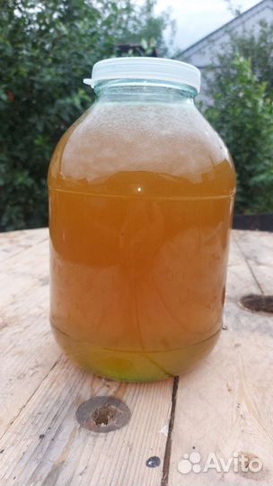 Мёд