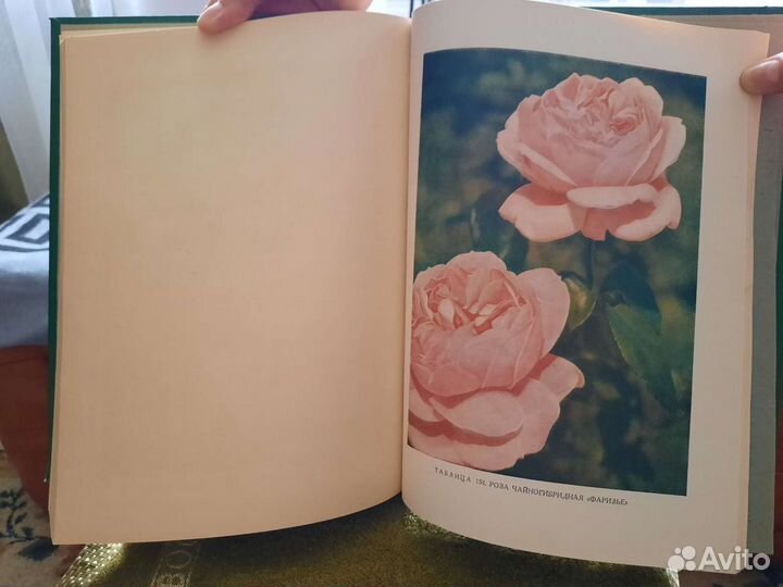 Атлас цветов