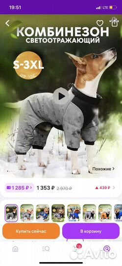 Комбинезон для средней собаки