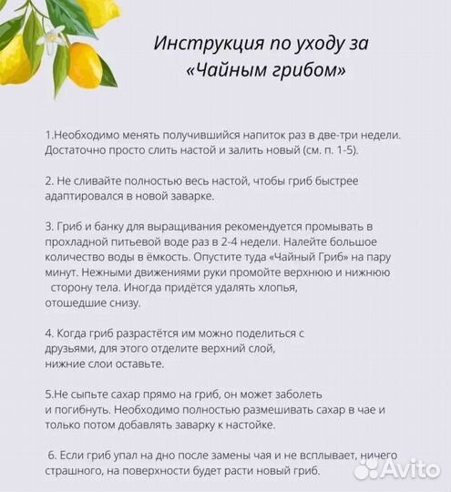 Чайный гриб Каркадэ