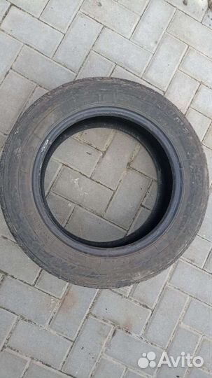 Accelera Accelera Summer 195/60 R15