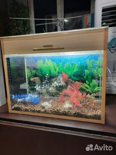 Аквариум