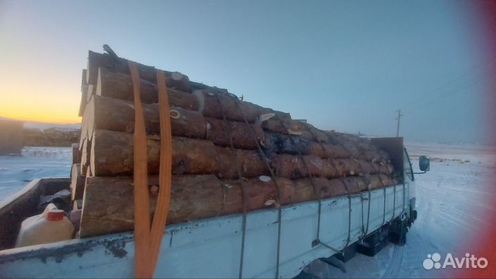 Дрова сырые