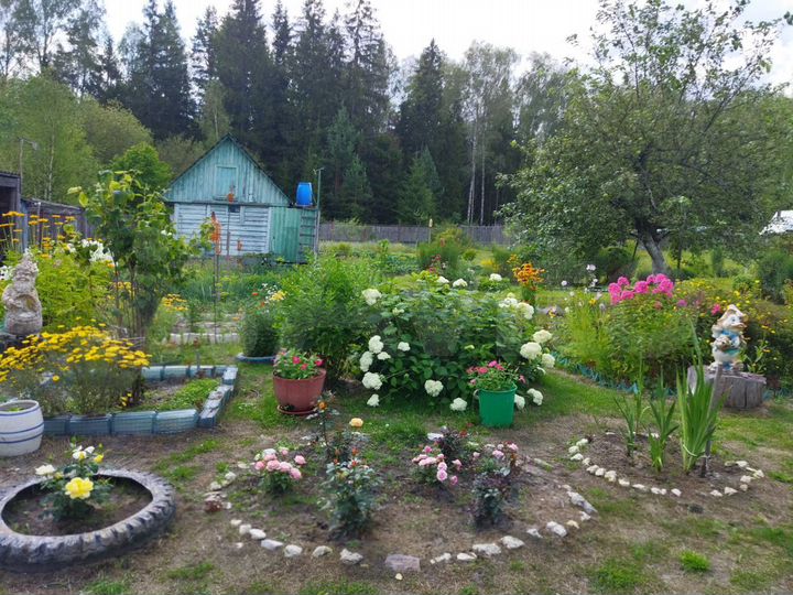 Дача 50 м² на участке 18 сот.