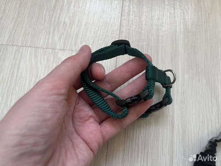 Шлейка для хорька с поводком