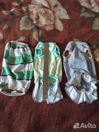 Одежда для собак и кошек