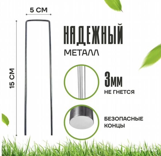 Растения для сада