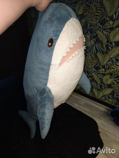Акула Икея