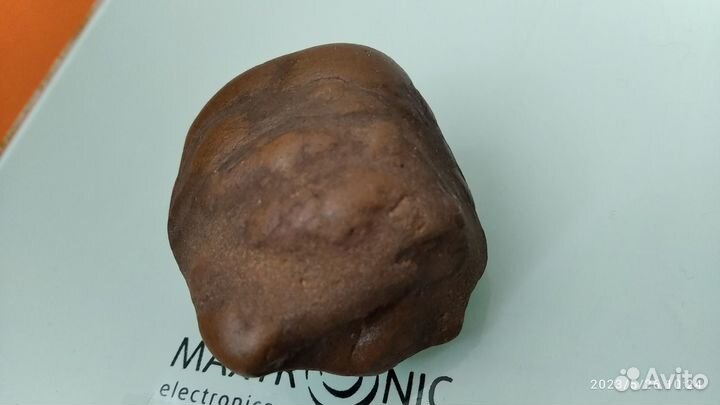 Зуб мамонта. Древняя окаменелость