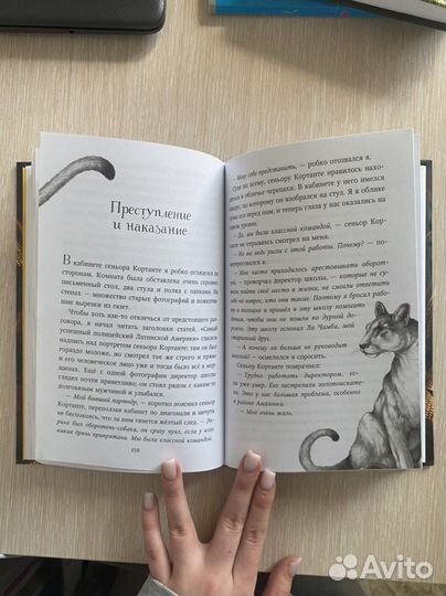 Дети леса. Месть пумы. книга 12+