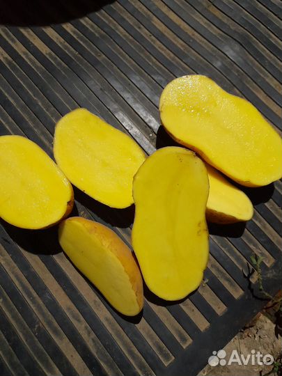 Продам картофель