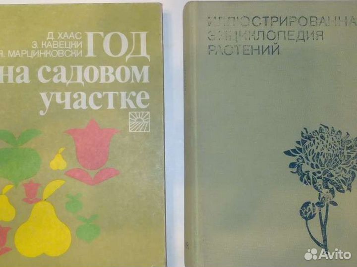 Лекарственные растения в народной медицине