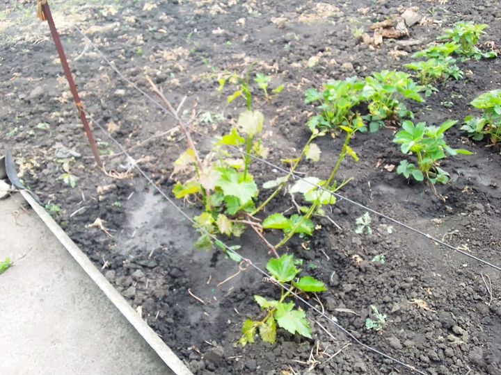 Дом 32 м² на участке 10 сот.