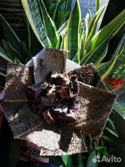 Погрызушки лакомство для хвостиков