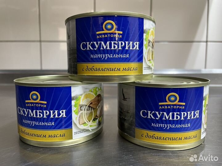 Скумбрия