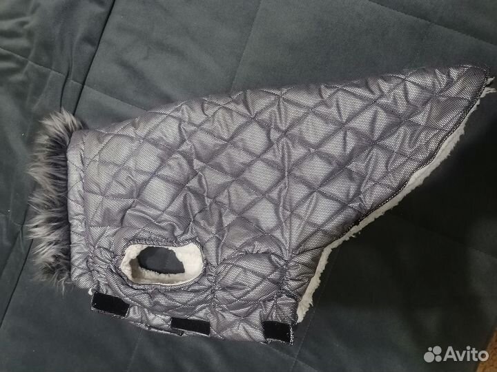 Одежда для средних собак