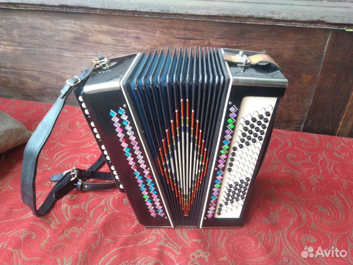 Баян Вологодский от профи видео