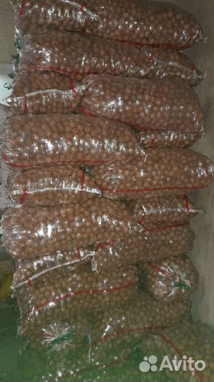 Грецкий орех и фундук