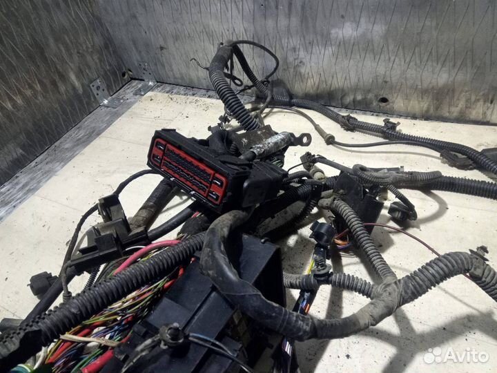 Проводка подкапотная Ford Focus 2 CB4 2006