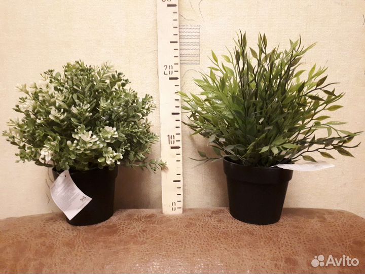 Цветы декоративные искусственные. Икея. IKEA