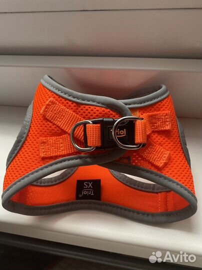 Шлейка для маленькой собачки