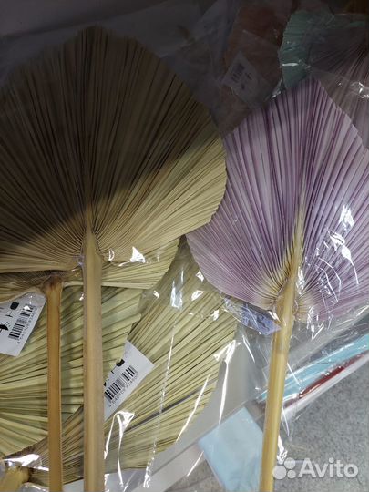 Сухоцветы для творчества