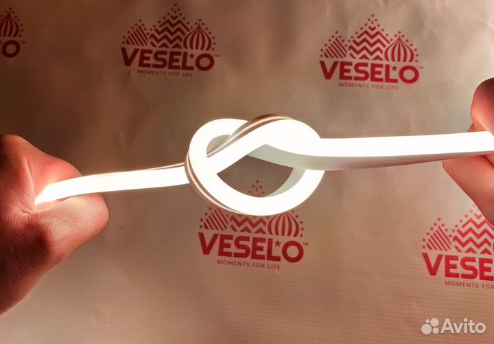 Уличный светодиодный Гибкий Неон доставка