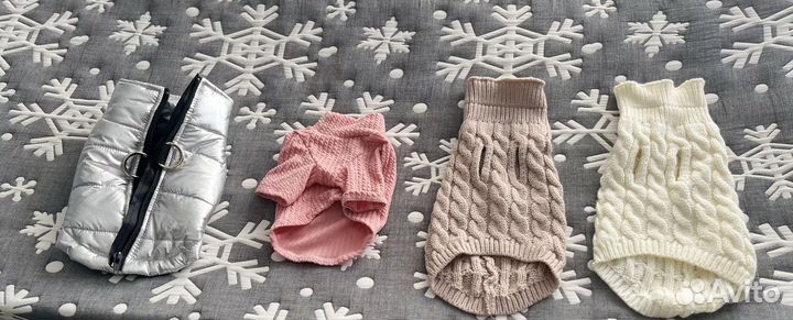 Одежда и обувь для чихуахуа