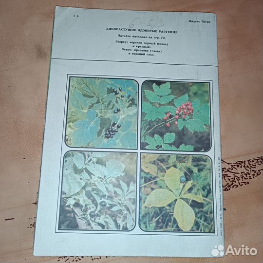 Приусадебное хозяйство журнал садоводов СССР