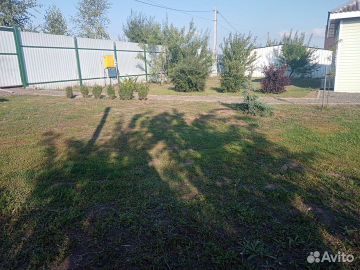 Покос травы, спил деревьев